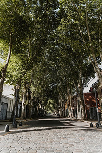 走到光亮的前路摄影照片_前视图城市街景与树木建筑