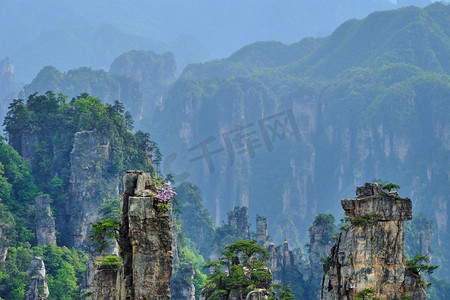 著名的旅游景点中国-张家界石柱悬崖山上的夕阳，湖南武陵源，中国。张家界山区中国