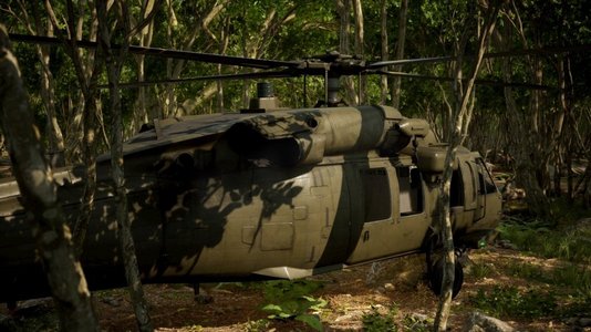 丛林深处的军用直升机