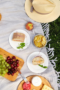 野餐毯摄影照片_休闲与饮食理念--将食物或零食放在夏日花园的野餐毯上。在花园野餐时近距离观看食物或零食
