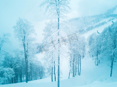 一幅令人惊叹的冬季高山雪景景观。一场新的降雪后，雪山中的森林。雪山冬林