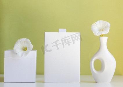 化妆品产品模拟与白色盒子和花瓶在浅绿色背景