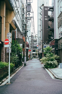 美妆店铺招牌摄影照片_城市街道上有招牌和树木