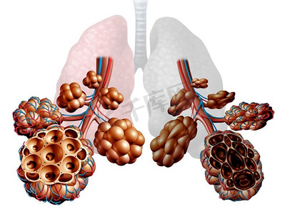 肺病摄影图片-肺病摄影作品-千库网