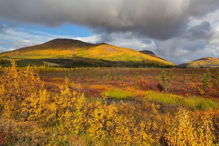 北极圈摄影照片_秋季北极圈上空的苔原景观。美丽的自然背景。