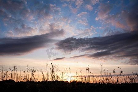 英国萨默塞特郡春季湿地的美丽风景--日落