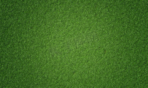 自然新鲜的绿色草背景顶视图。大自然和壁纸概念。3D插图渲染