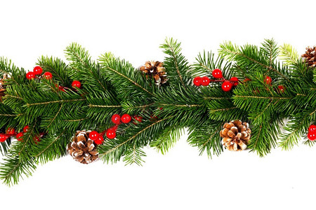 天然冷杉圣诞树树枝，球果和红色浆果孤立在白色上，文字复制空间。白色的冷杉树枝装饰