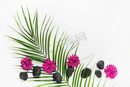 装饰用棕榈叶紫菀花温泉石白色背景