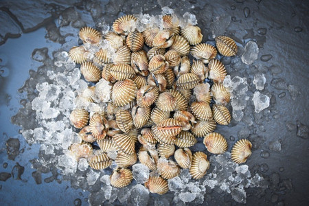 清酒煮蛤蜊摄影照片_在冰背景，新鲜的生贝类血液的小公鸡海洋美食海鲜在餐馆或市场