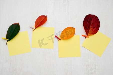 空白笔记摄影照片_顶视图秋天的叶子与粘性笔记