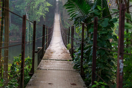 吊桥在丛林，斯里兰卡