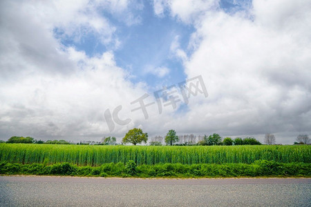 田野国风摄影照片_绿色田野前的柏油路，乡村景观中有新鲜的庄稼