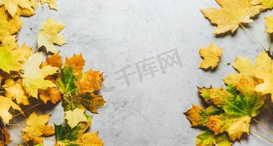 黄色背景框摄影照片_秋天的背景框，黄色、绿色和橙色的叶子放在灰色的混凝土桌子上。季节性秋季概念与复制空间。俯视图。