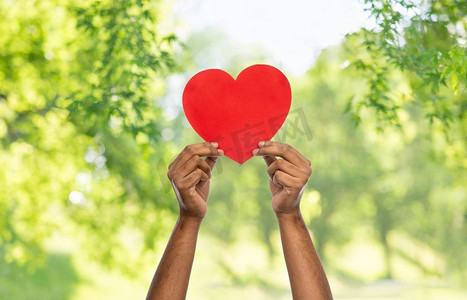慈善，爱和健康概念—关闭手举行红色心脏在绿色自然背景。关闭的手举行红色的心脏