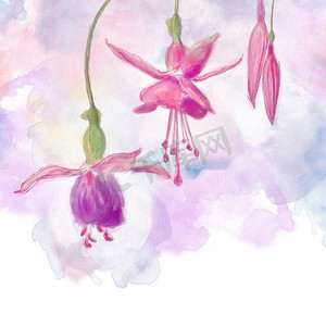 粉红色和紫色紫红色花的水彩数字绘画