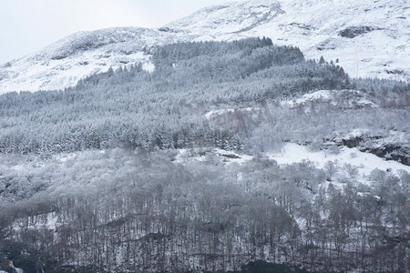 简单风景摄影照片_雪覆盖的树的美丽的简单风景图象在冬天雪落在洛蒙德湖海岸在苏格兰