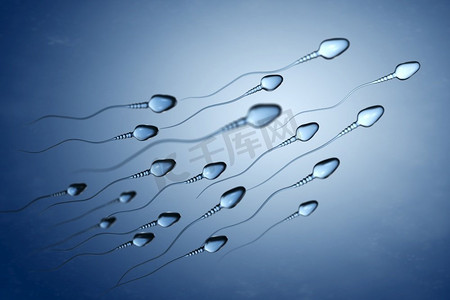 精子细胞的插图。3D插图。精子细胞图解