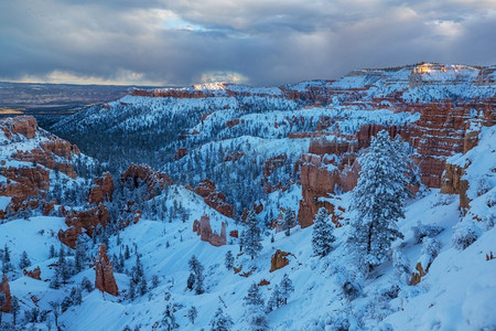 美国犹他州布莱斯峡谷国家公园冬季风景如画的粉红色岩石