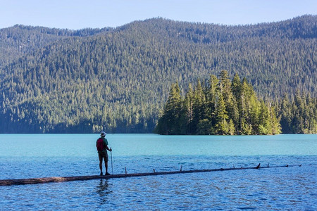 一个人在平静的湖边安心休息树湖泊