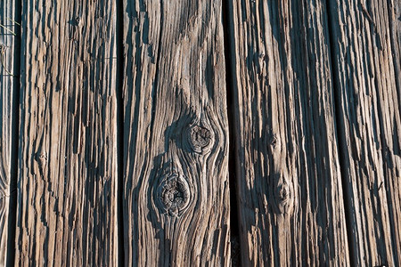 棕色木材纹理背景，南洋杉皮质