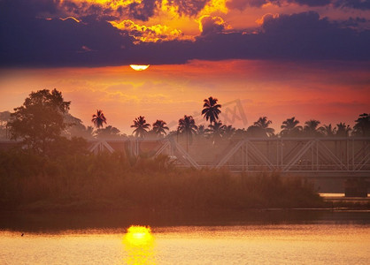 密集树叶摄影照片_斯里兰卡热带河流上的桥梁
