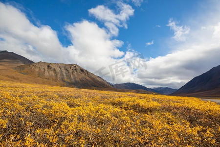 北极圈摄影照片_秋季北极圈上空的苔原景观。美丽的自然背景。