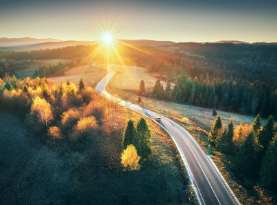 道路、空中、森林、秋天