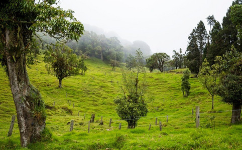 costa摄影照片_美丽的哥斯达黎加乡村与丰富的绿色山丘