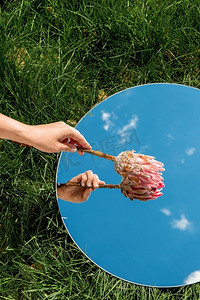 自然概念--夏日田野上，手牵着洋蓟花和圆镜中的天空倒影。手持花朵和天空在镜子中倒影