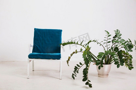 绿植热带绿植摄影照片_带绿植盆的扶手椅