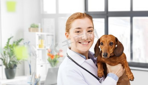 诊所摄影照片_医学，宠物和保健概念—快乐的兽医或举行腊肠犬在兽医诊所。快乐的医生与腊肠犬在兽医诊所