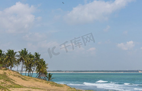 美丽的热带风景在斯里兰卡。旅行和度假背景