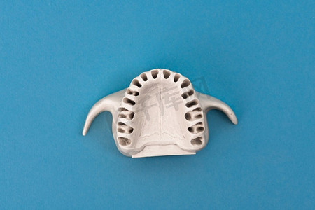 没有牙齿的上颌人类下颌模型隔离在蓝色背景上.脚玩具