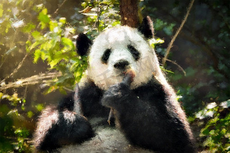 大熊猫熊吃竹子油画。中国大熊猫油画