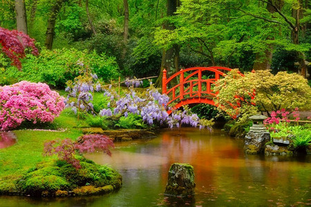代尔摄影照片_荷兰海牙克林根代尔公园，日本花园中的小桥。荷兰海牙克林根代尔公园日式花园