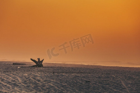 sepia摄影照片_美丽的海岸线景观和人在散步。海滩在早上雾天气，奶橙色的颜色。海滩在日出雾
