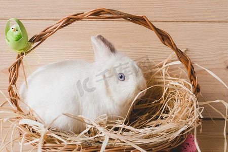 复活节兔子篮子