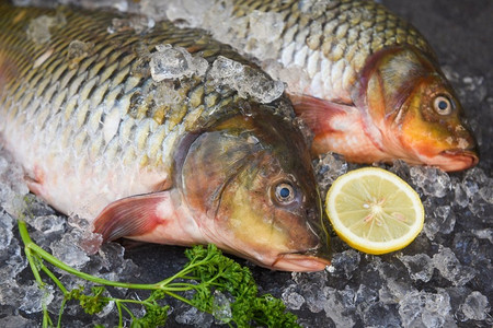 鲤鱼，新鲜生鱼加冰煮熟，配以欧芹柠檬和深色背景，普通鲤鱼淡水鱼市场
