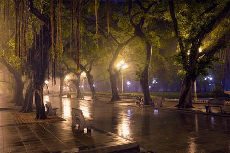 晚间雾蒙蒙的广州人民S公园。广州，中国。广州人S夜雾公园，中国