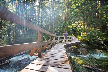 徒步旅行者在绿色森林的桥上