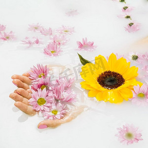 关闭女性的手拿着黄色粉红色的花液体背景