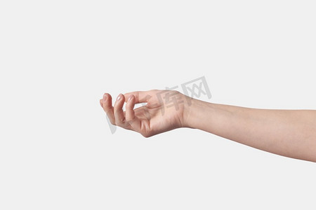 触碰手势摄影照片_温柔，柔软的触感，女性手势或抓取，询问，乞求动作孤立在白色背景上。女性手势温柔抚摸。