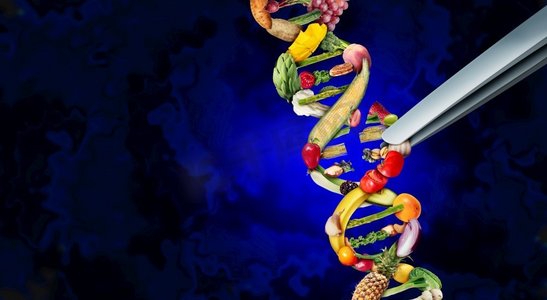  CRISPR，基因，基因，食品