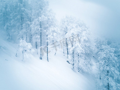令人惊叹的冬季高山雪景景观。一场新雪后，山林中的雪。山冬季森林在雪