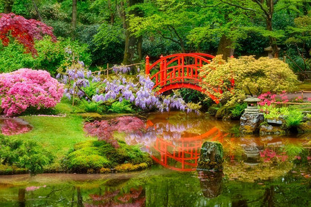 荷兰海牙克林根代尔公园，日本花园中的小桥。荷兰海牙克林根代尔公园日式花园