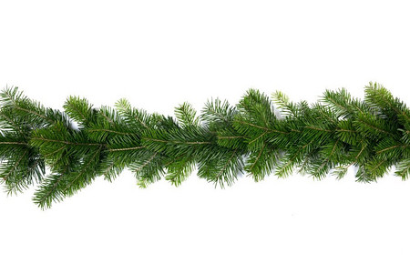白色背景上孤立的圣诞绿色云杉树框架。白色隔断的圣诞树框架