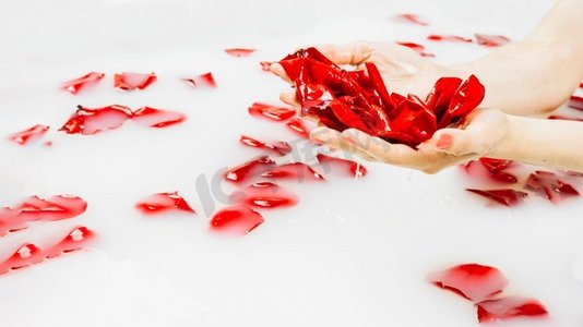 女的湿手拿着红色的花瓣清澈的白水