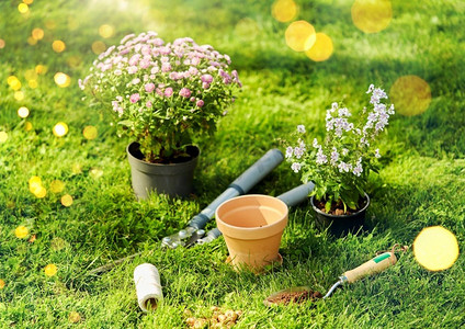 园艺和种植概念—园艺工具，花盆和花在草地上夏季。夏天在草地上的园艺工具和花