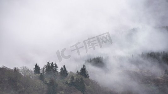 苏格兰本洛蒙德山坡上飘荡在树丛中的美丽雾蒙德冬景